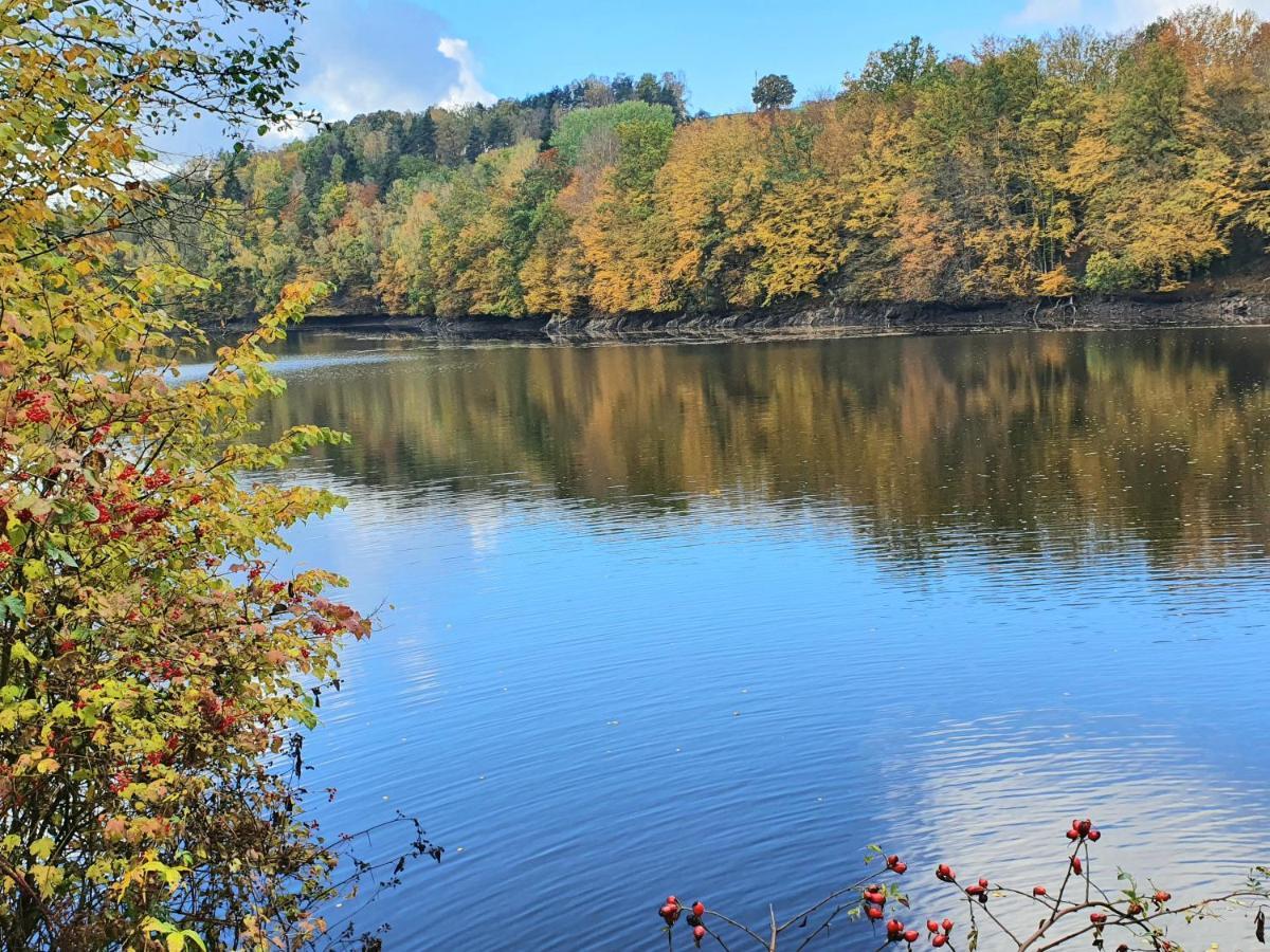 Holzhaus Am See Mit Panoramablick Trausnitz Zewnętrze zdjęcie